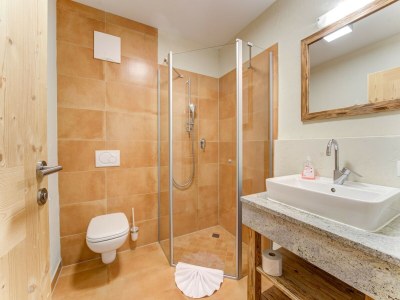 Apartment Chalet in Mittersill by Ski Lift & Sauna - Features photo 9