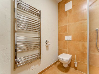 Apartment Chalet in Mittersill by Ski Lift & Sauna - Features photo 27