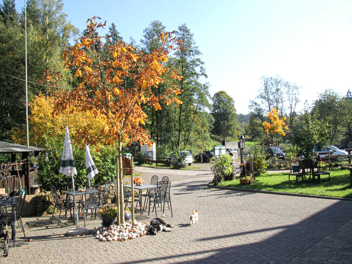Apartment Wohnung in Deudesfeld mit eigener Terrasse - Outdoor photo 4