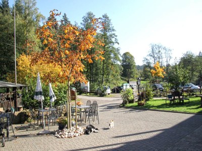 Apartment Wohnung in Deudesfeld mit eigener Terrasse - Outdoor photo 4