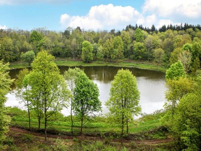 Apartment Wohnung in Deudesfeld mit eigener Terrasse - Environment photo 16