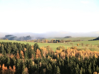 Apartment Wohnung in Deudesfeld mit eigener Terrasse - Environment photo 17