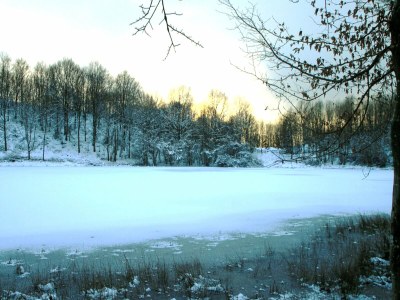 Apartment Wohnung in Deudesfeld mit eigener Terrasse - Environment photo 21