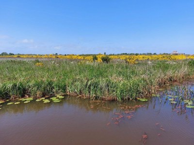 Holiday house 6 Personen Ferienhaus in Tarm-By Traum - Outdoor photo 37