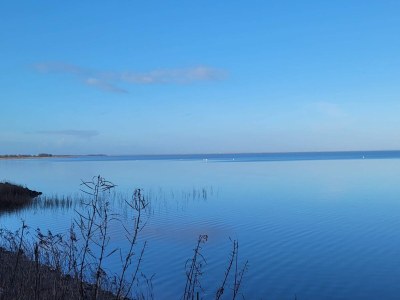 Holiday house 6 Personen Ferienhaus in Ulfborg-By Traum - Outdoor photo 7