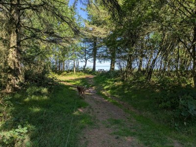 Holiday house 6 Personen Ferienhaus in Ulfborg-By Traum - Outdoor photo 39
