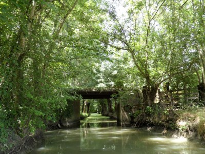 Holiday house Les Balanes 5 - Environment photo 14