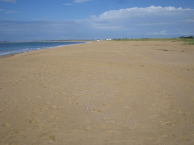 Holiday house Les Balanes 5 - Environment photo 15