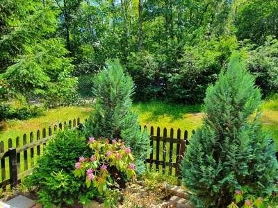 Apartment Hübsche Ferienwohnung in Goslar mit Terrasse - Outdoor photo 6