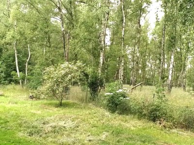 Apartment Hübsche Ferienwohnung in Goslar mit Terrasse - Outdoor photo 7