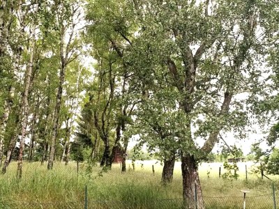 Apartment Hübsche Ferienwohnung in Goslar mit Terrasse - Environment photo 24