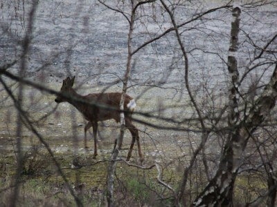 Apartment Hübsche Ferienwohnung in Goslar mit Terrasse - Outdoor photo 30