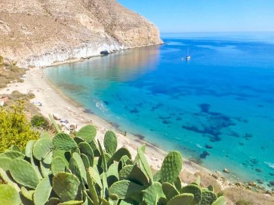 Apartment Marvel Apartment with Pool near Playa Vera - Environment photo 31