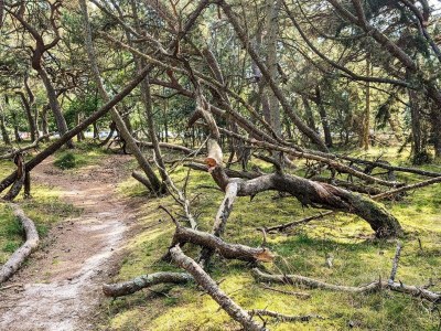 Holiday house 6 Personen Ferienhaus in Frederiksværk-By Traum - Outdoor photo 6