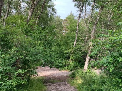 Holiday house 6 Personen Ferienhaus in Frederiksværk-By Traum - Outdoor photo 31