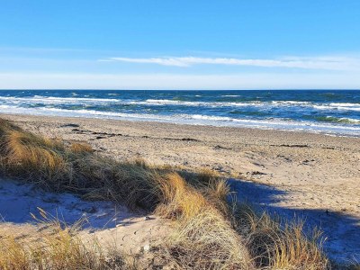 Holiday house 6 Personen Ferienhaus in Frederiksværk-By Traum - Outdoor photo 41