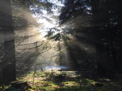 Holiday house Flucht in Flussnähe, Wolfsberg - Environment photo 28