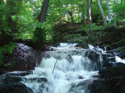 Holiday house Flucht in Flussnähe, Wolfsberg - Environment photo 29
