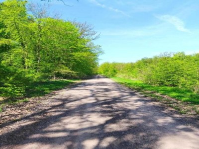 Holiday house Flucht in Flussnähe, Wolfsberg - Environment photo 30