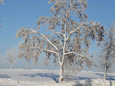 Holiday house Flucht in Flussnähe, Wolfsberg - Environment photo 33