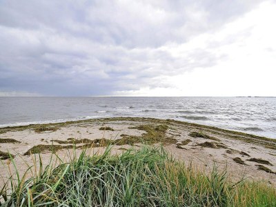 Holiday house Gutshaus Zicker in Garz - Environment photo 12