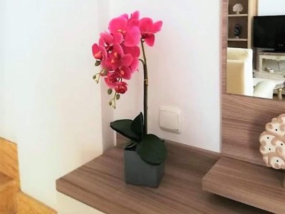 Holiday house Grundstück mit Terrasse in Strandnähe - Features photo 14