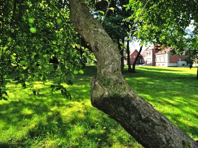 Holiday house Haus-Nr: DOS07136-DYC - Outdoor photo 2