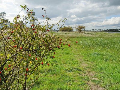 Holiday house Haus-Nr: DOS07136-DYC - Outdoor photo 4