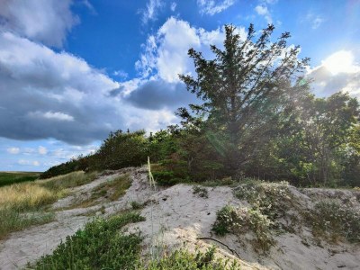 Holiday house 4 Personen Ferienhaus in Hals-By Traum - Outdoor photo 26