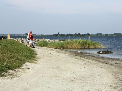 Apartment Ferienwohnung Seemצwe im Fהhrhaus Vieregge - Outdoor photo 36