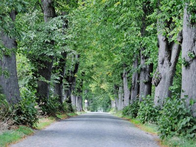 Holiday house Haus-Nr: DOS07136-SYA - Outdoor photo 4