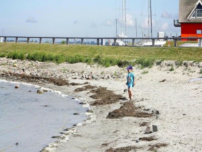 Holiday house Ferienhaus Lotsenhaus am Breetzer Bodden - Environment photo 18