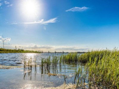 Holiday house Ferienhaus Lotsenhaus am Breetzer Bodden - Environment photo 20