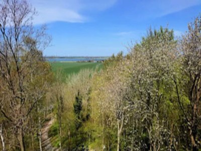 Holiday house Ferienhaus Lotsenhaus am Breetzer Bodden - Environment photo 28