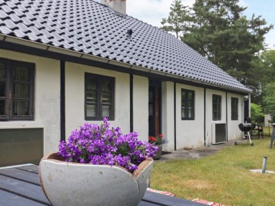 Holiday house 6 Personen Ferienhaus in Læsø-By Traum - Outdoor photo 4