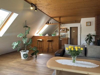 Apartment Ferienwohnung in Moorhusen - Features photo 21
