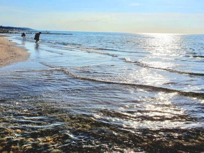 Holiday house 6 Personen Ferienhaus in Vejby-By Traum - Outdoor photo 24