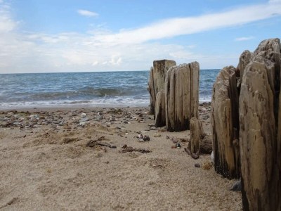 Holiday house 6 Personen Ferienhaus in Vejby-By Traum - Outdoor photo 43