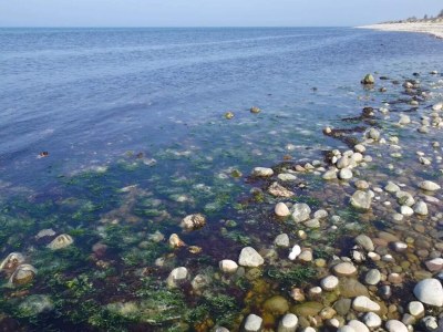 Holiday house 6 Personen Ferienhaus in Vejby-By Traum - Outdoor photo 48