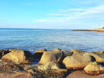 Holiday house 6 Personen Ferienhaus in Vejby-By Traum - Outdoor photo 49