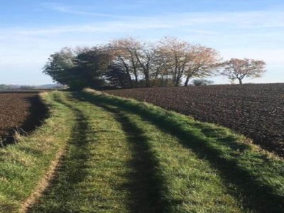 Holiday house Stay near Pointe du Raz & Beach - Environment photo 14
