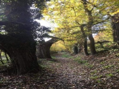 Holiday house Stay near Pointe du Raz & Beach - Environment photo 15