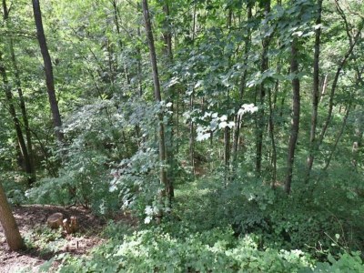 Holiday house Stay near Pointe du Raz & Beach - Environment photo 26