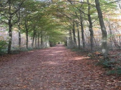 Holiday house Stay near Pointe du Raz & Beach - Environment photo 27