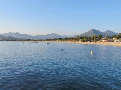 Holiday house Stay near Pointe du Raz & Beach - Environment photo 31