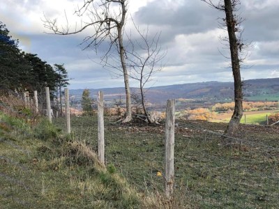 Holiday house Stay near Pointe du Raz & Beach - Environment photo 38
