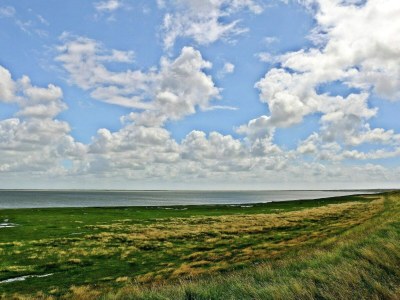 Holiday house 8 person holiday home in Rømø-By Traum - Outdoor photo 6