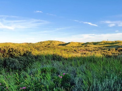 Holiday house 8 person holiday home in Rømø-By Traum - Outdoor photo 7