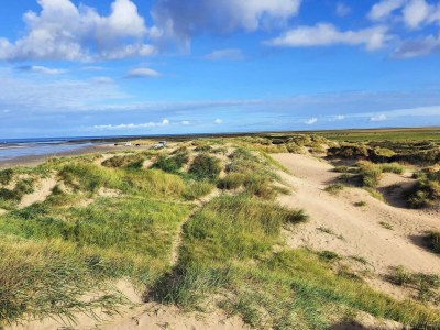 Holiday house 8 person holiday home in Rømø-By Traum - Outdoor photo 8