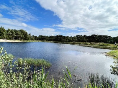 Holiday house 8 person holiday home in Rømø-By Traum - Outdoor photo 42